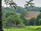 Newly sown farmers field, viiewed from the site