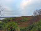 Walk around the estate