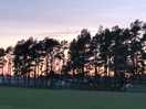 Beautiful sunset