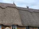 Local village