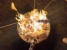 Fire pit and wood at extra cost for a great price!