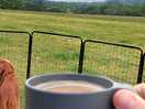 What a view with your morning coffee