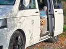 Dog friendly