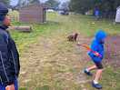 Playing with the resident dog