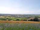 View on the way up to site