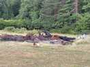 Burn pile