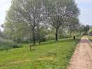 Driveway to grass pitches next to river