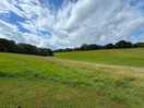 View from our pitch