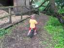 Little woodland walk to see more animals