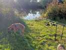 One of the ponds for fishing.