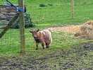 Ooh just need a scratch
