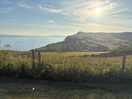 View from the dog walking field