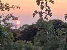 Sunset at martha's down