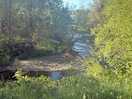 Pretty river view