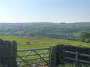 View from the site