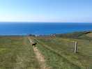 Walk to the coast path