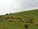 Farm