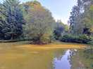 Private carp lake