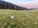 Owner’s field adjoining tent site