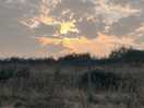 Beautiful sunrise