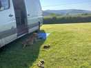 Beautiful site! dog friendly.