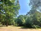 A view from our campervan door