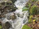 Aira falls