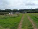More fields