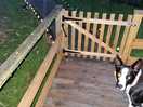 Decking area with pretty lights