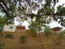 Mobile home