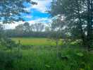 View from my door