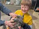 First time holding a chicken!