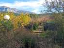 Pyrenees