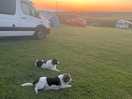 View from our pitch. our dogs loved the site.