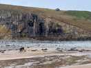 Beautiful, rugged coast