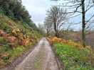 Walk around the estate