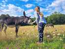 Ponywiese direkt am platz