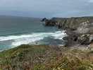 Walking nearby in lizard only a few minutes drive away