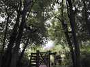 Gate onto colemere circular walk