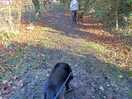 Nature walk