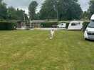 Green space to roam
