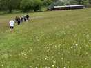 Walk to the steam train museum