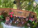 Beautiful fairy garden