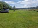 Beautiful orchard to camp in