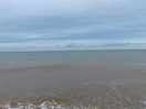 Nearby beaches for dog walking