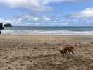 Perranporth beach