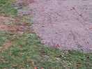 Nice wet grass pitch?