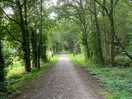 Cycle path to domfront is a old railway line so nice and flat