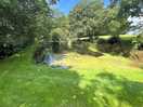 Pond