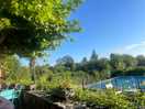 View from restaurant